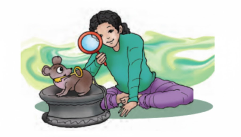 आपने पढ़ा कि तीनों बुद्धिमान भाई किस प्रकार अपने अवलोकन से वे बातें भी जान जाते थे जो अन्य लोग नहीं जान पाते। अब आपके सामने कुछ पहेलियाँ प्रस्तुत हैं जहाँ आपको कुछ संकेत दिए जाएँगे । संकेतों के आधार पर आपको उत्तर खोजने हैं-