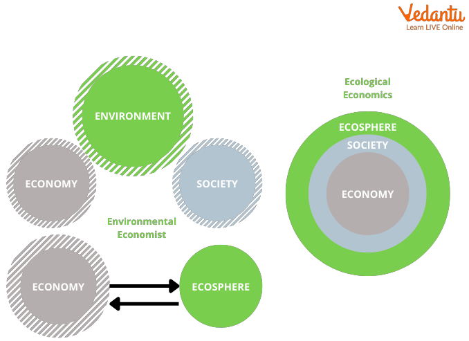 Green Economics vs Ecological Economics