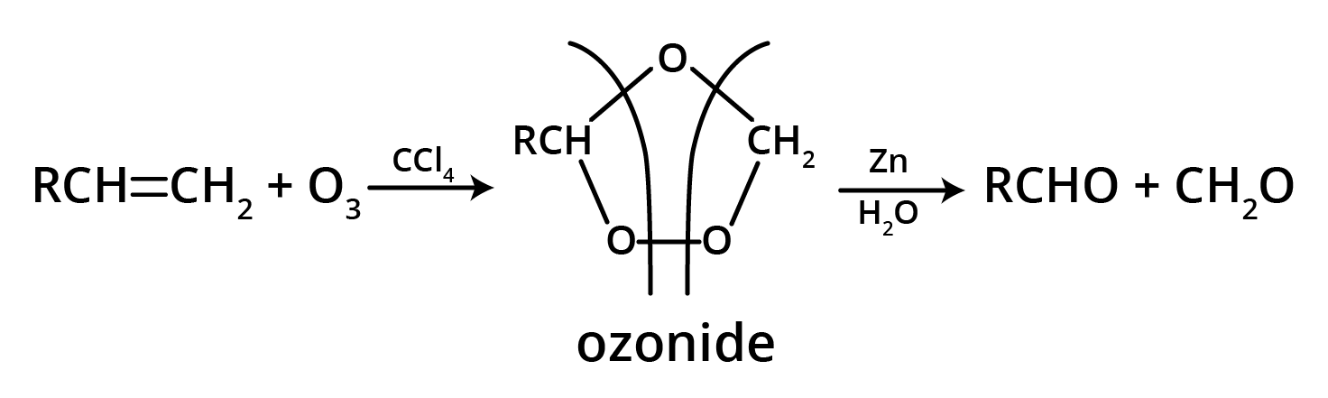 Ozonolysis of Alkene