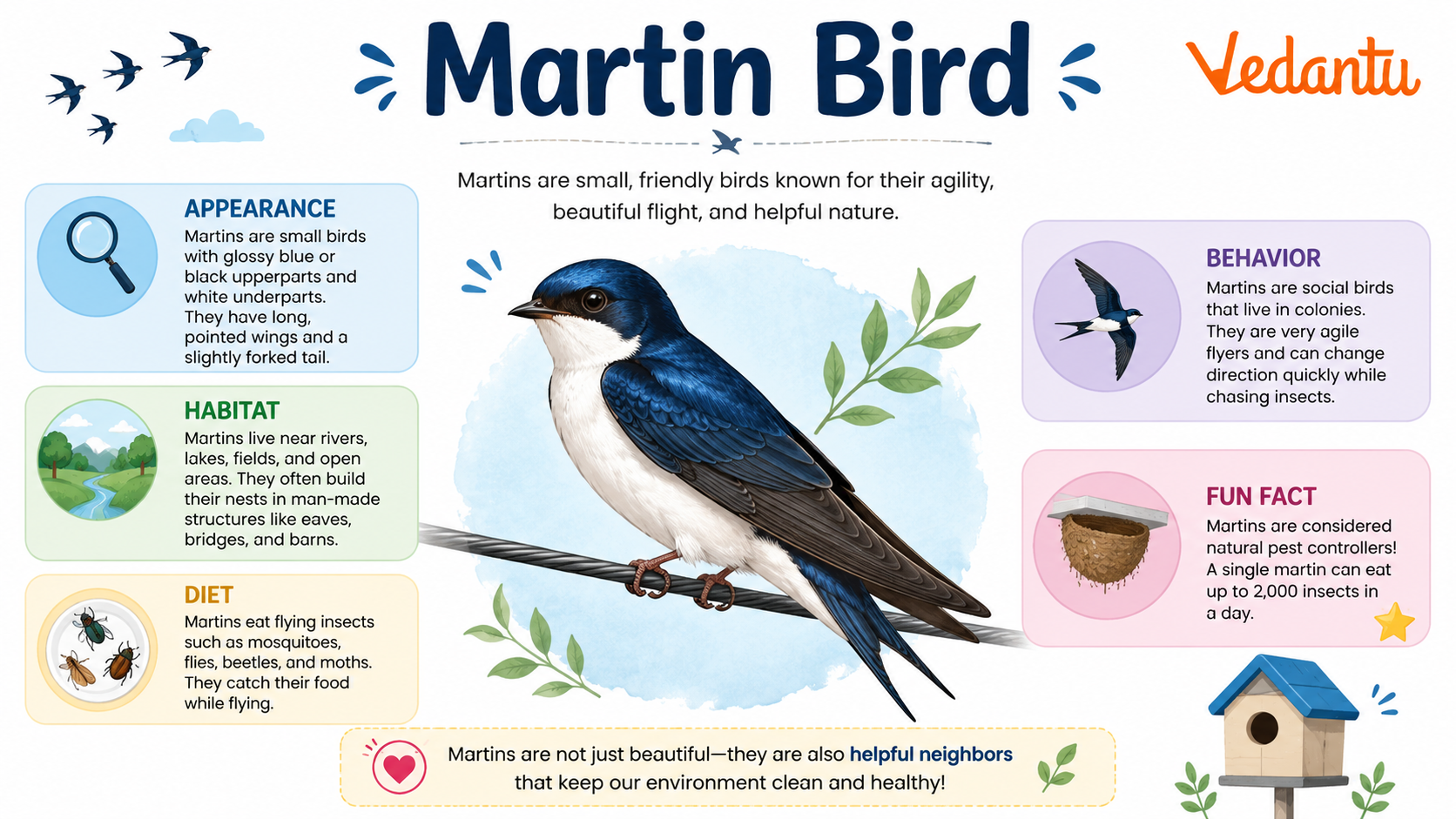 Martin Bird