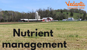 Nutrient Management