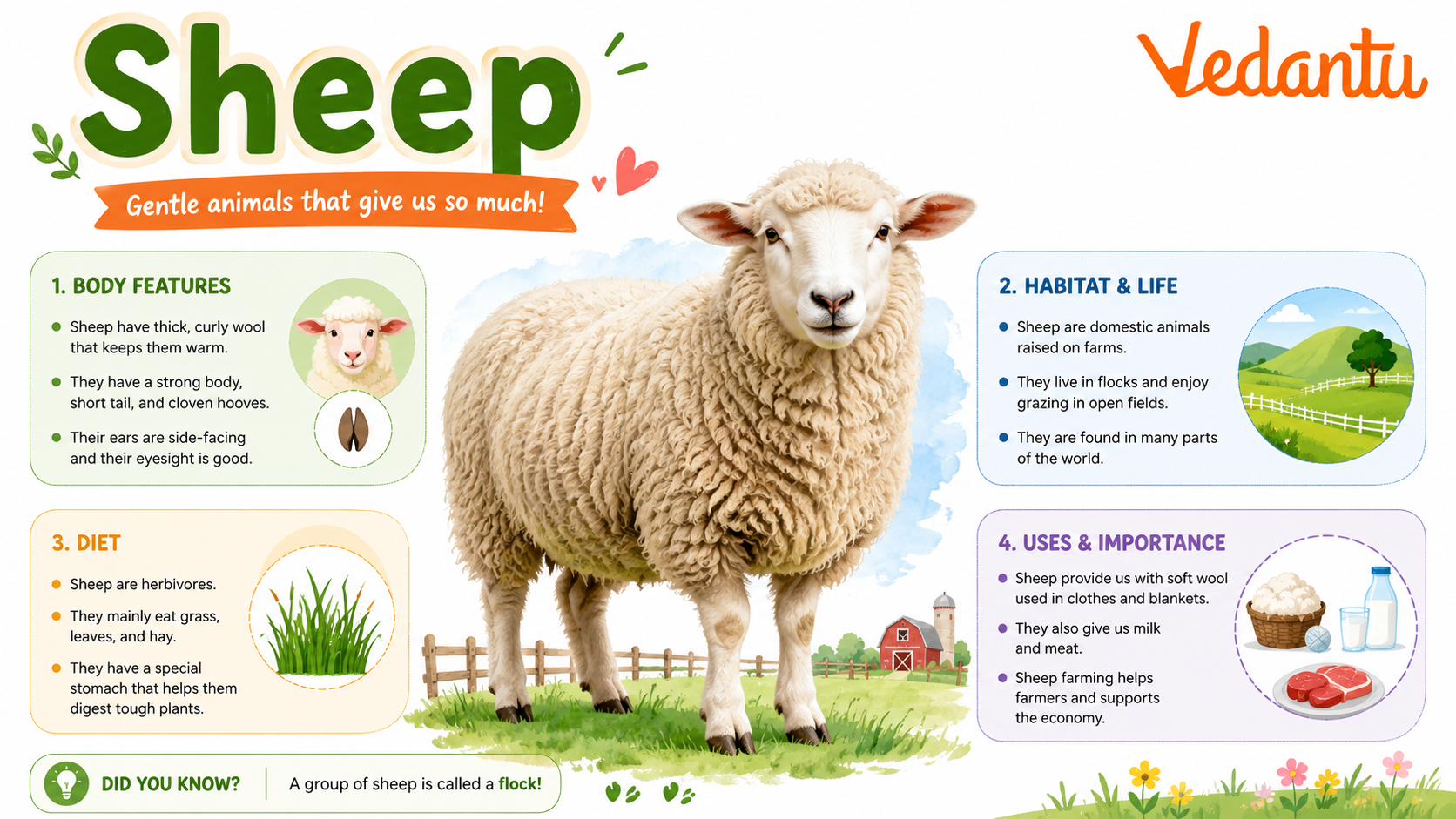 Sheep standing in a grassy field