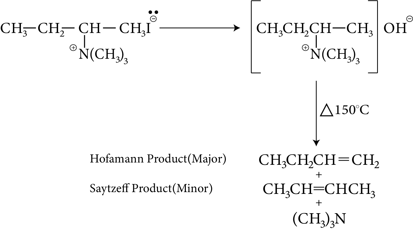 Hofmann Elimination Reaction