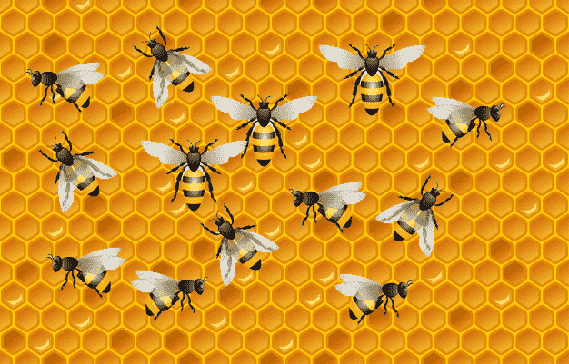 Bee-keeping or apiculture