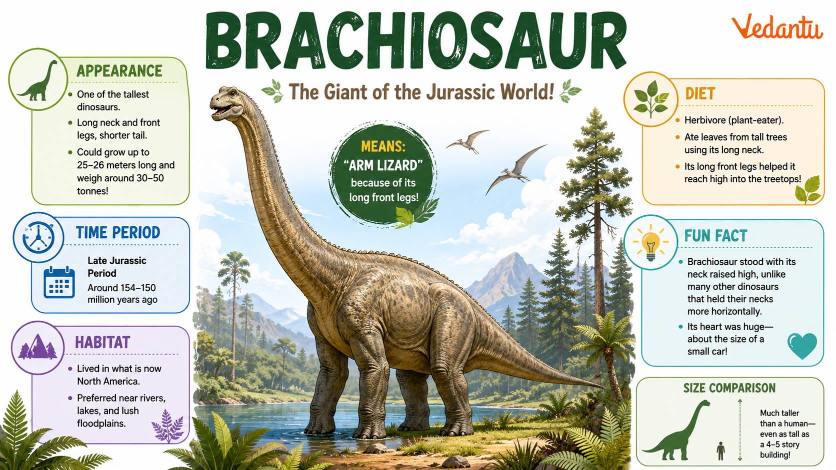 Brachiosaur dinosaur with long neck and massive body