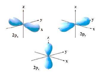 Shape of P-orbitals