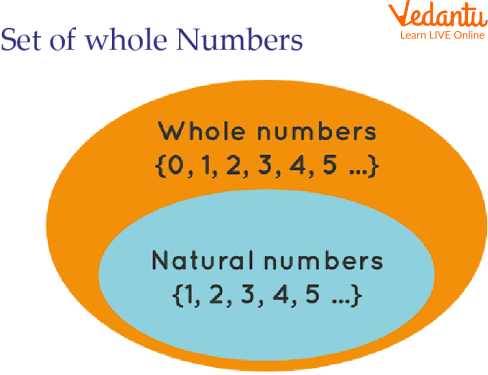 Whole Numbers