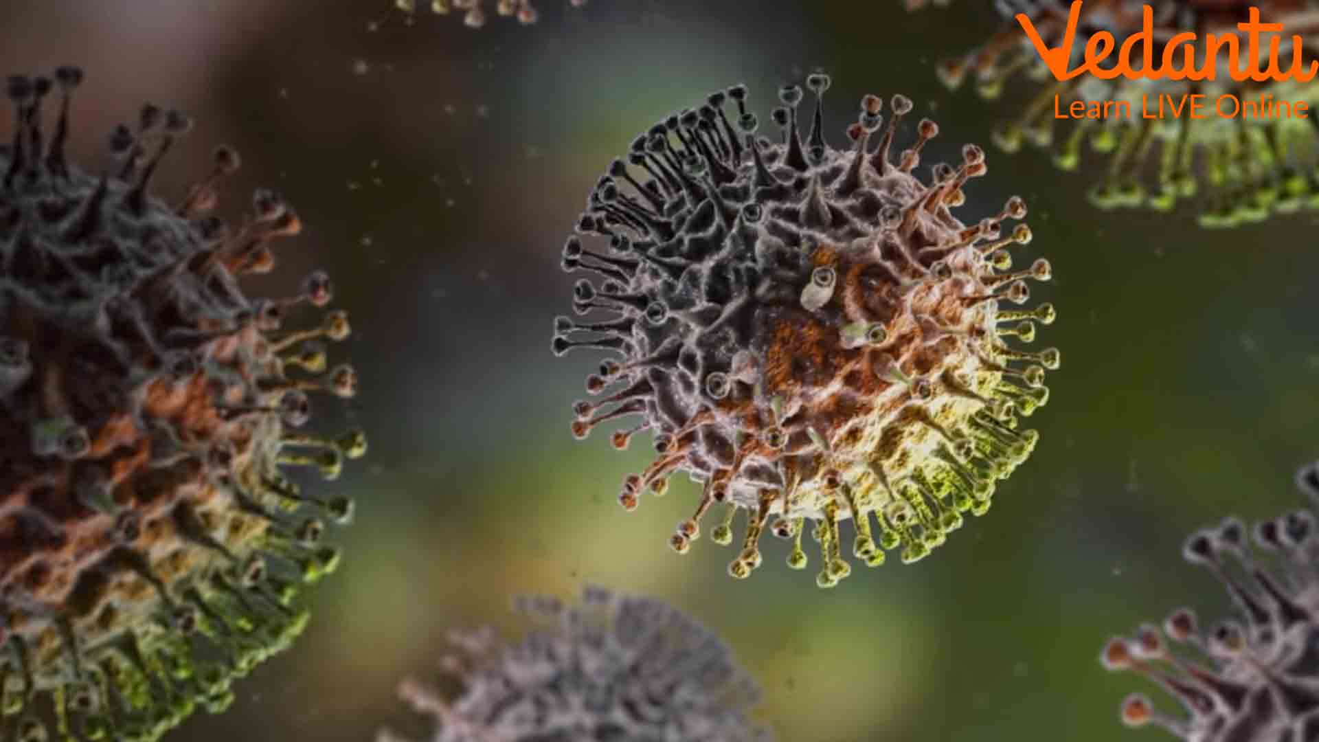 The Origin of Viruses: Where Did Viruses Come From?