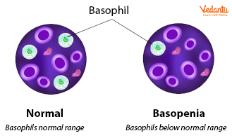 Basopenia