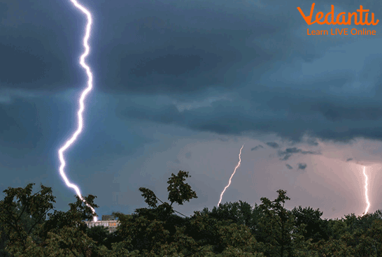 Lightning Falling on the Trees