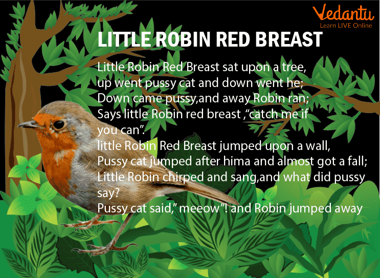 Little Robin Redbreast Poem Lyrics