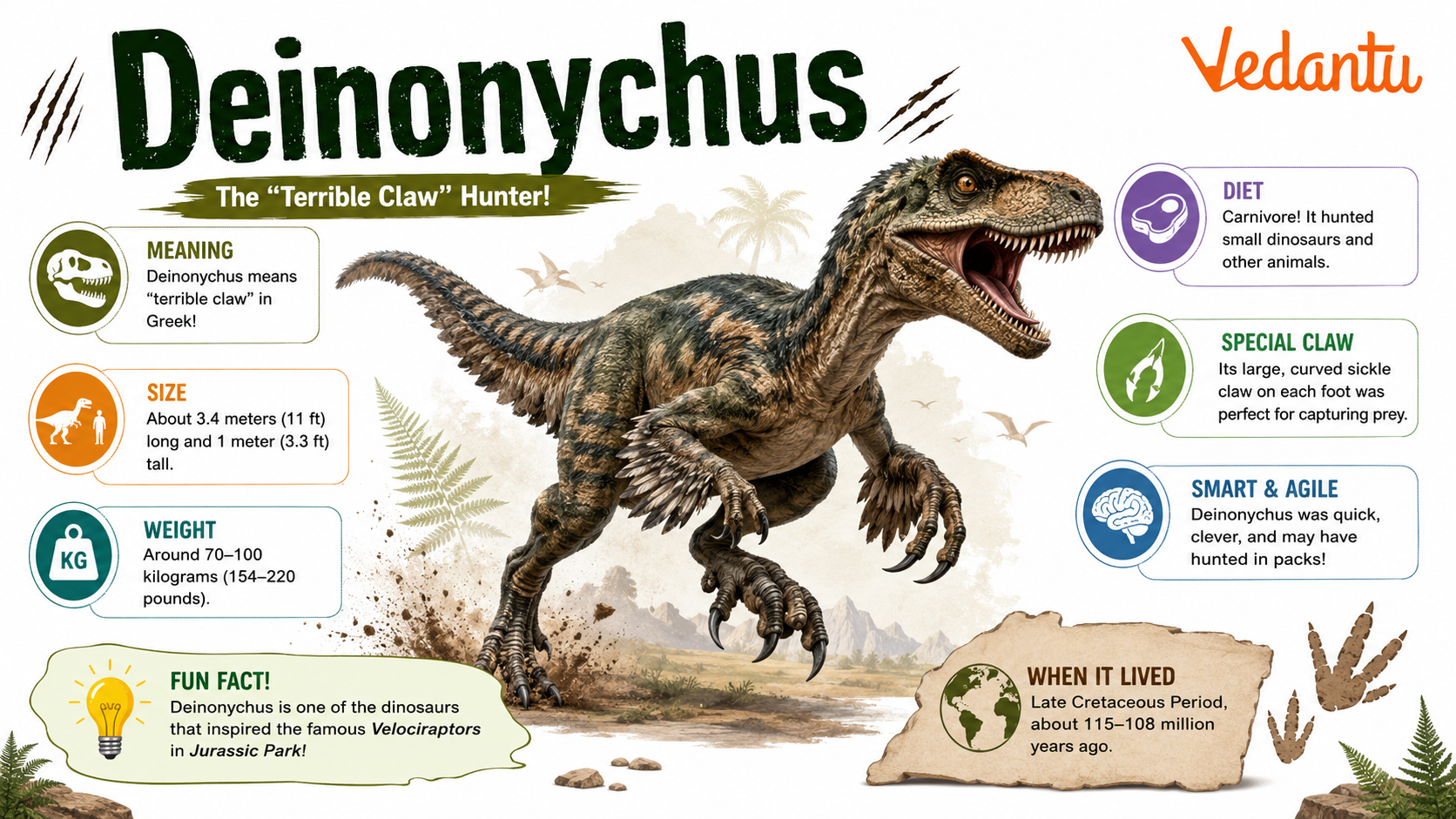 Deinonychus dinosaur illustration showing its sharp claws and long tail