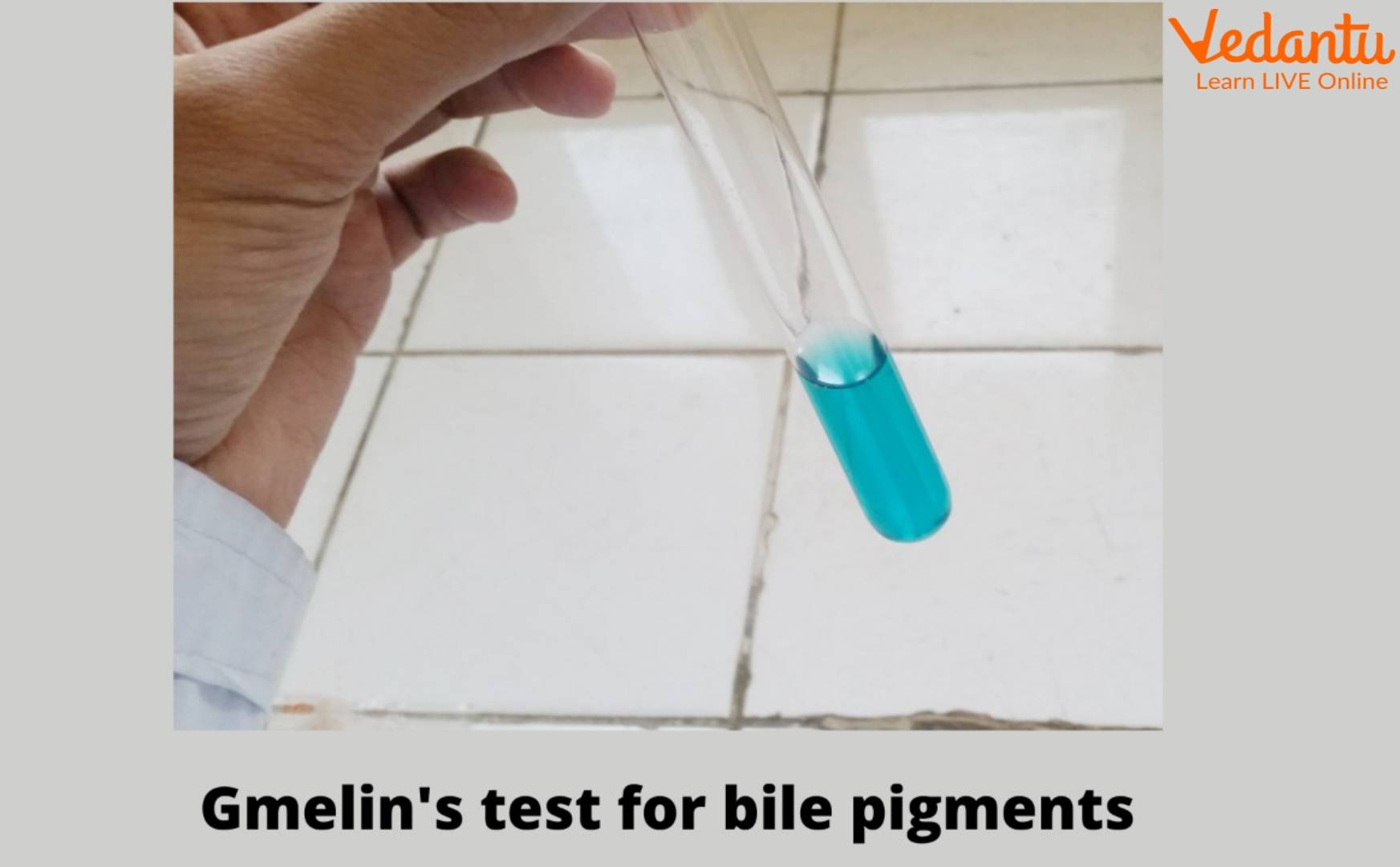 Gmelin's Test