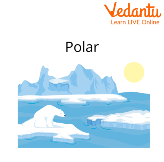 Polar habitat