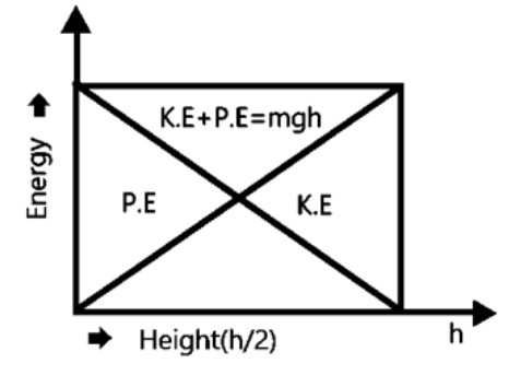 Graph showing the variation of potential energy, kinetic energy and the total energy of a body freely falling on earth from a height h.