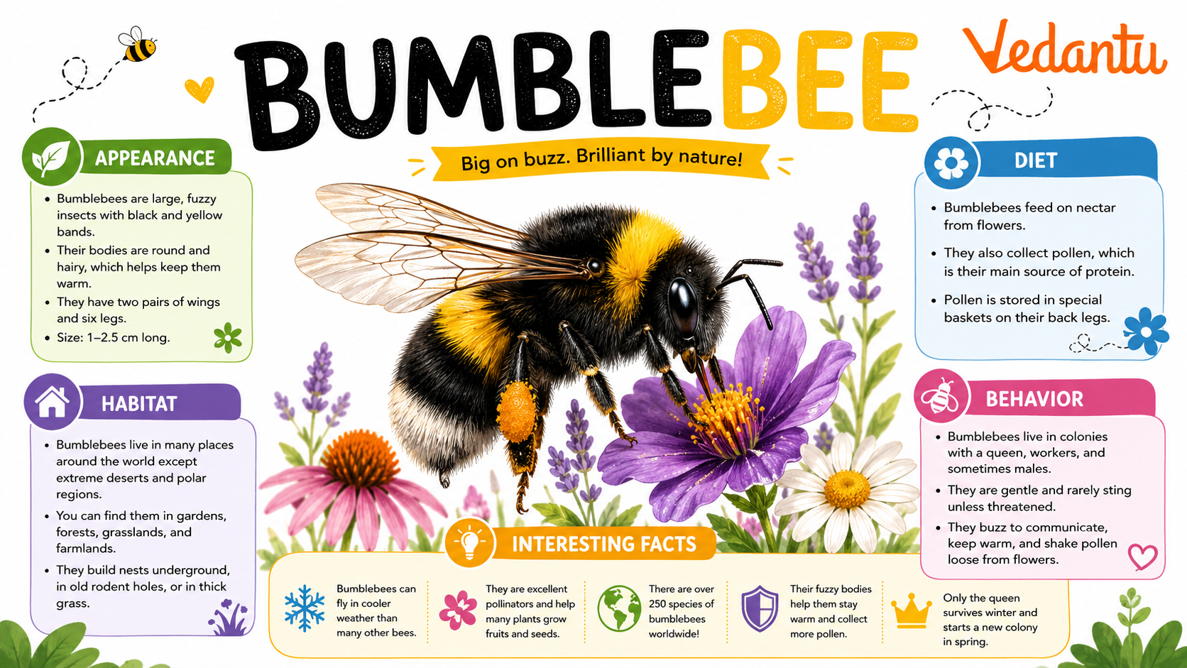 Bumblebee