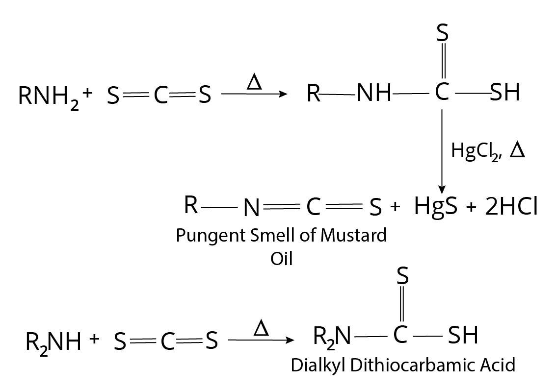 Reaction of Carbon Sulphide with Primary, Secondary and Tertiary Amine