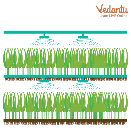 Aeroponics’ diagram