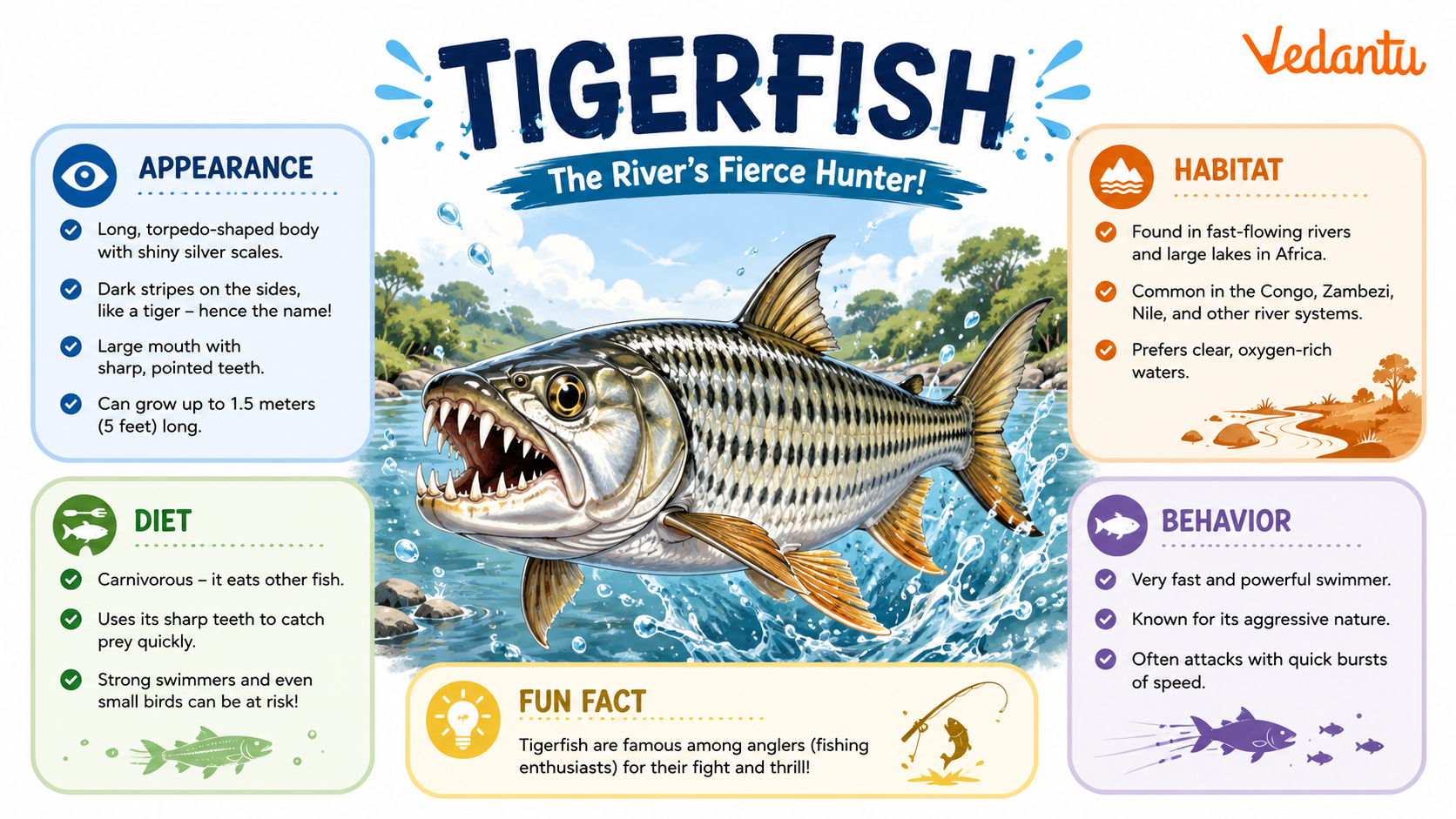 Tigerfish with sharp teeth and striped body