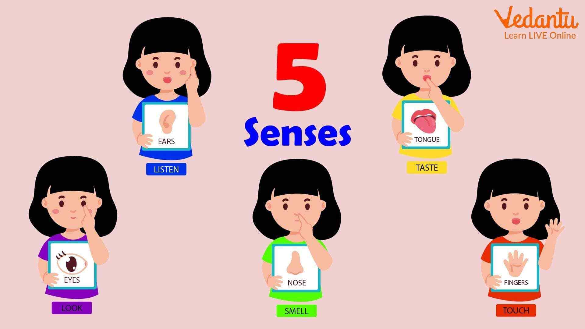 Five sense organs images with name