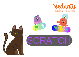 What is Scratch?