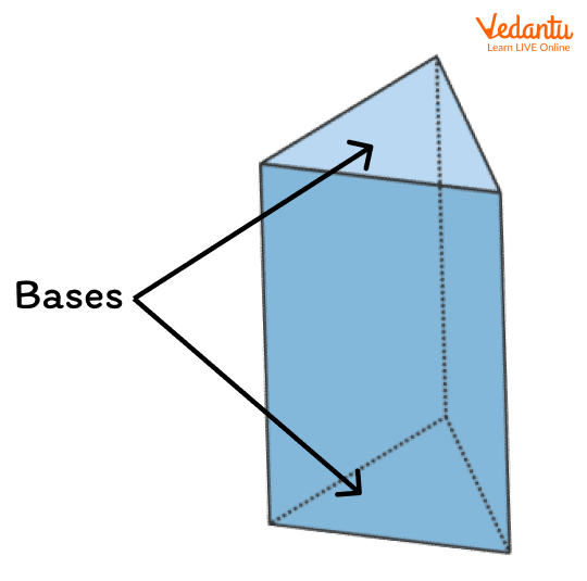 Top and bottom base