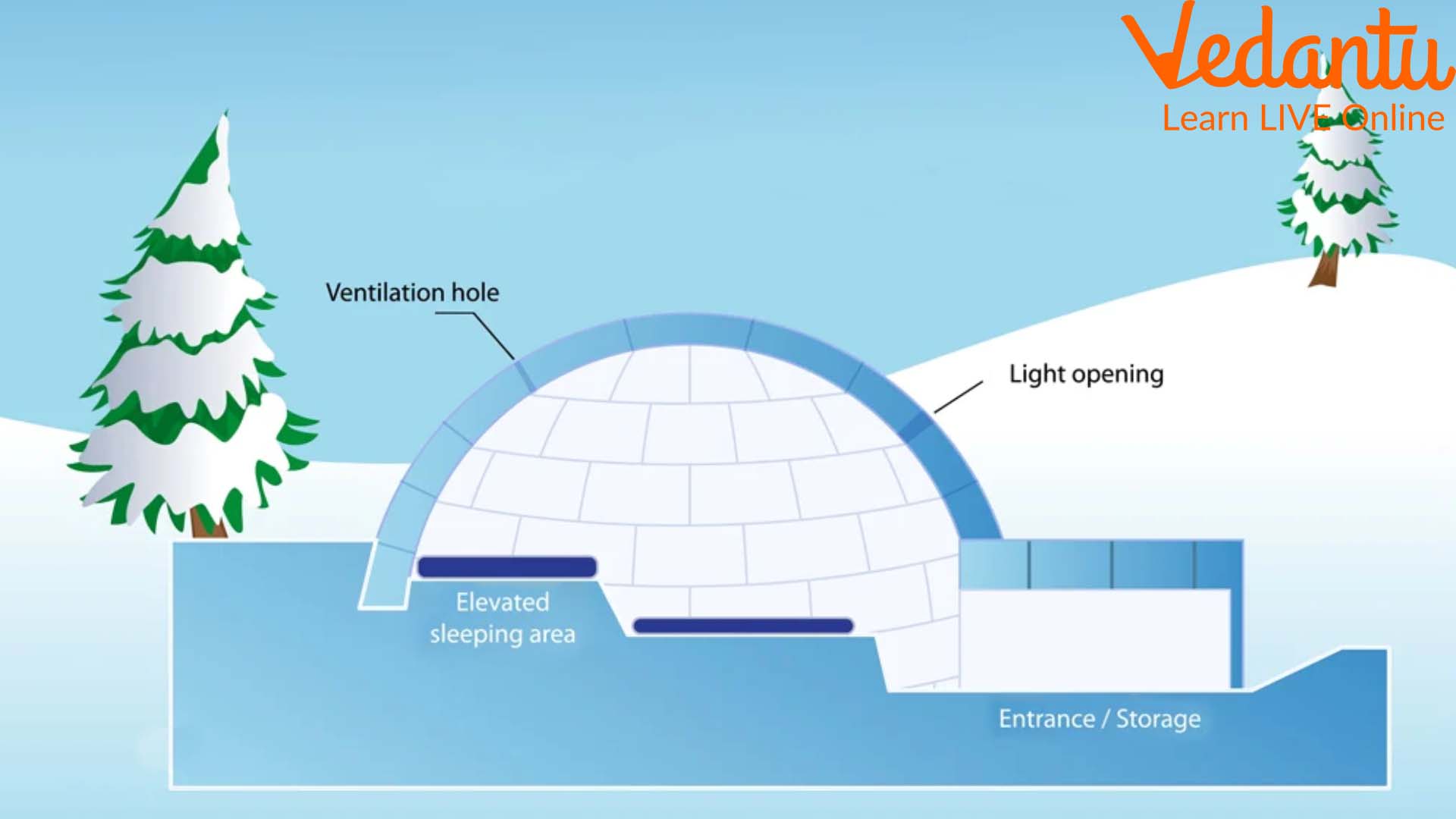 Know the Science Behind an Igloo Keeping You Warm