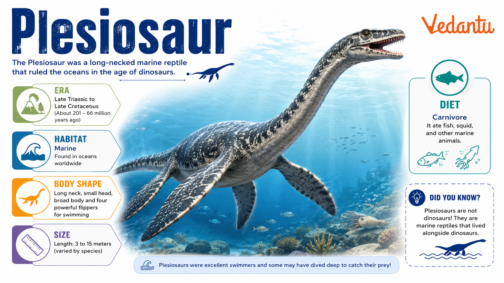 Plesiosaur ancient marine reptile with long neck and flippers