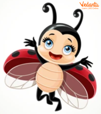 Charming little ladybug