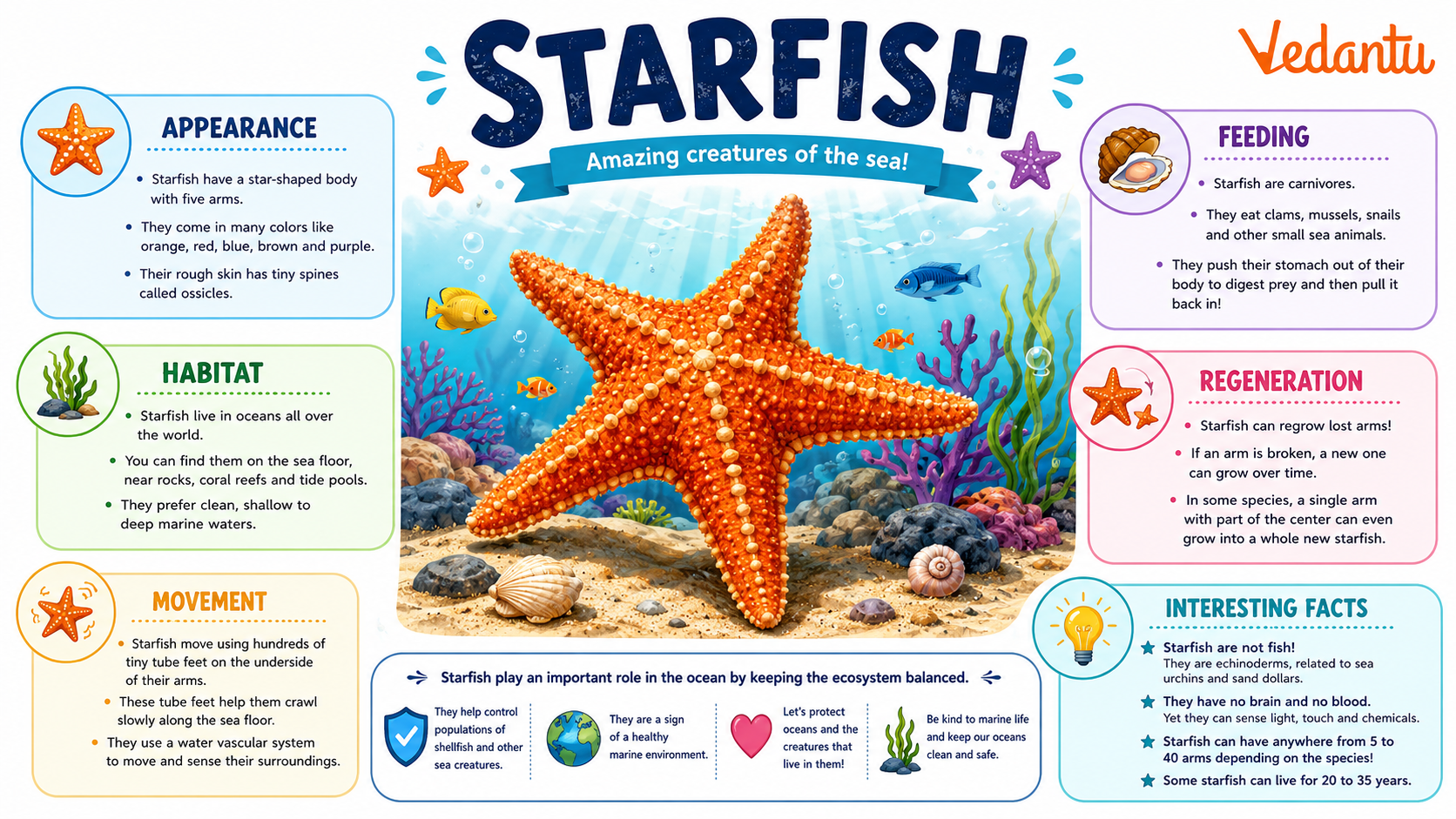 Starfish