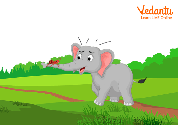 Elephant Stories for Kids - Kids Story is a Fun Story!
