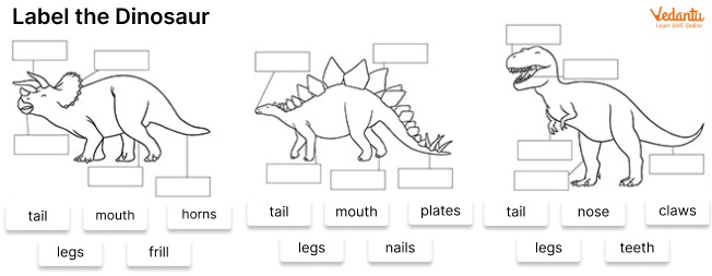 Label The Dinosaur