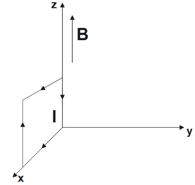 A rectangular current carrying loop placed in a x-z plane with magnetic field in z-direction.