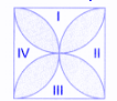 the perimeter of the flower is 88by7 units or 12 4by7 units..png