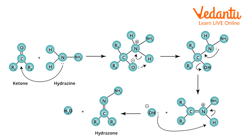 The first step of Wolff kishner reduction mechanism