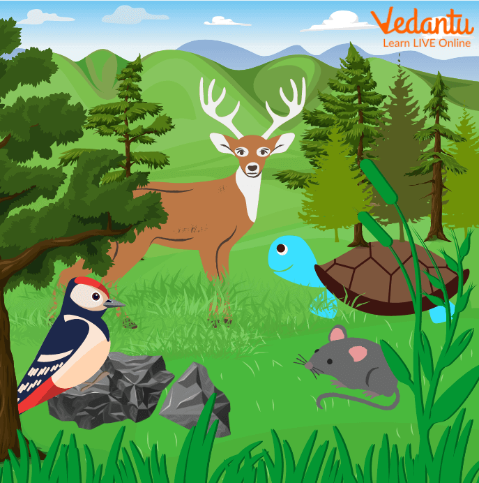 The Four Friends, Deer, Tortoise, Mouse and Woodpecker Playing