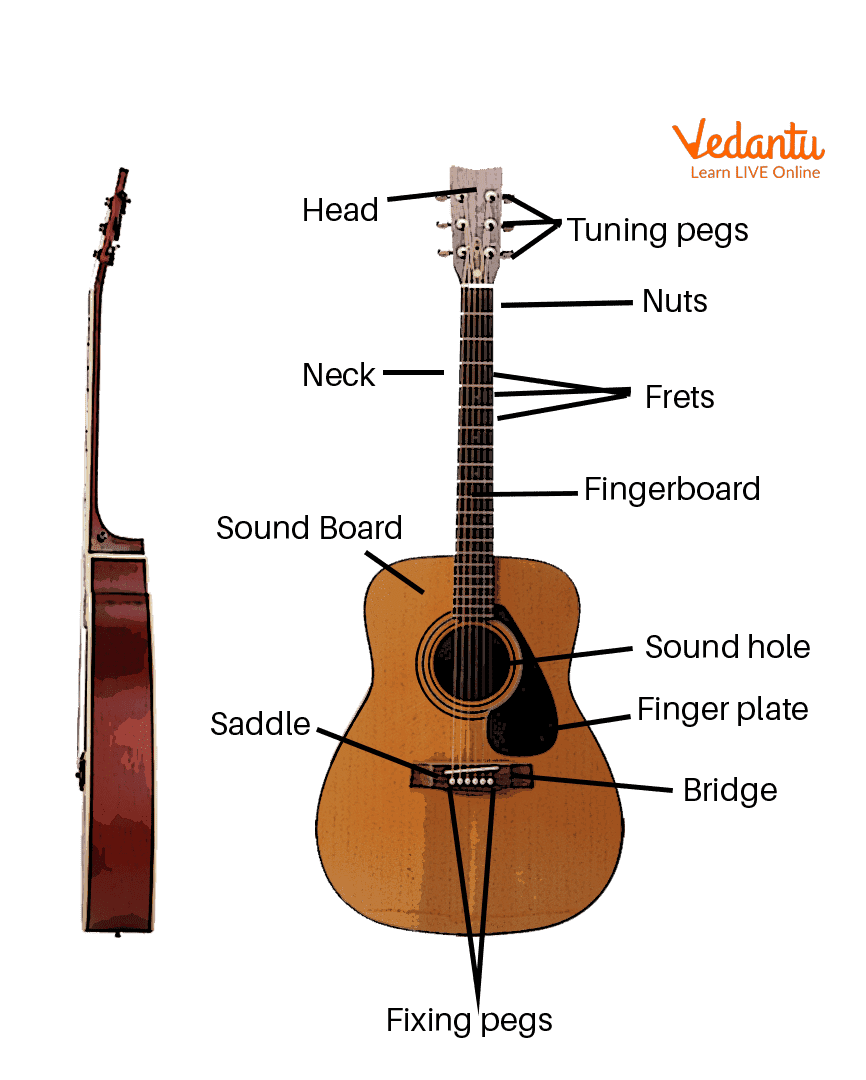 Different Parts of the Guitar