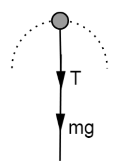 Free Body Diagram of the Stone at the Highest Point