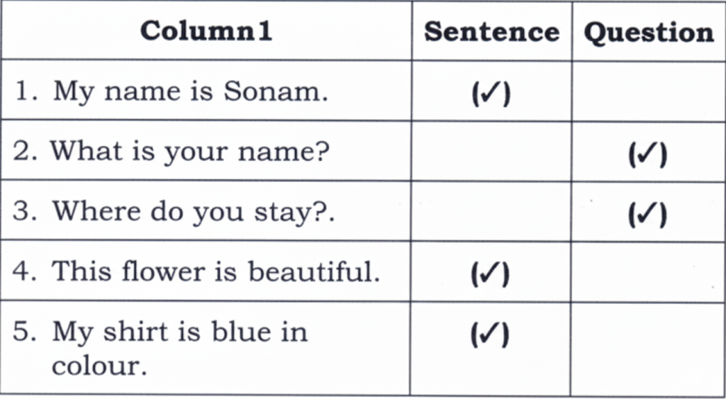 the right box-Sentence or Question answer.png