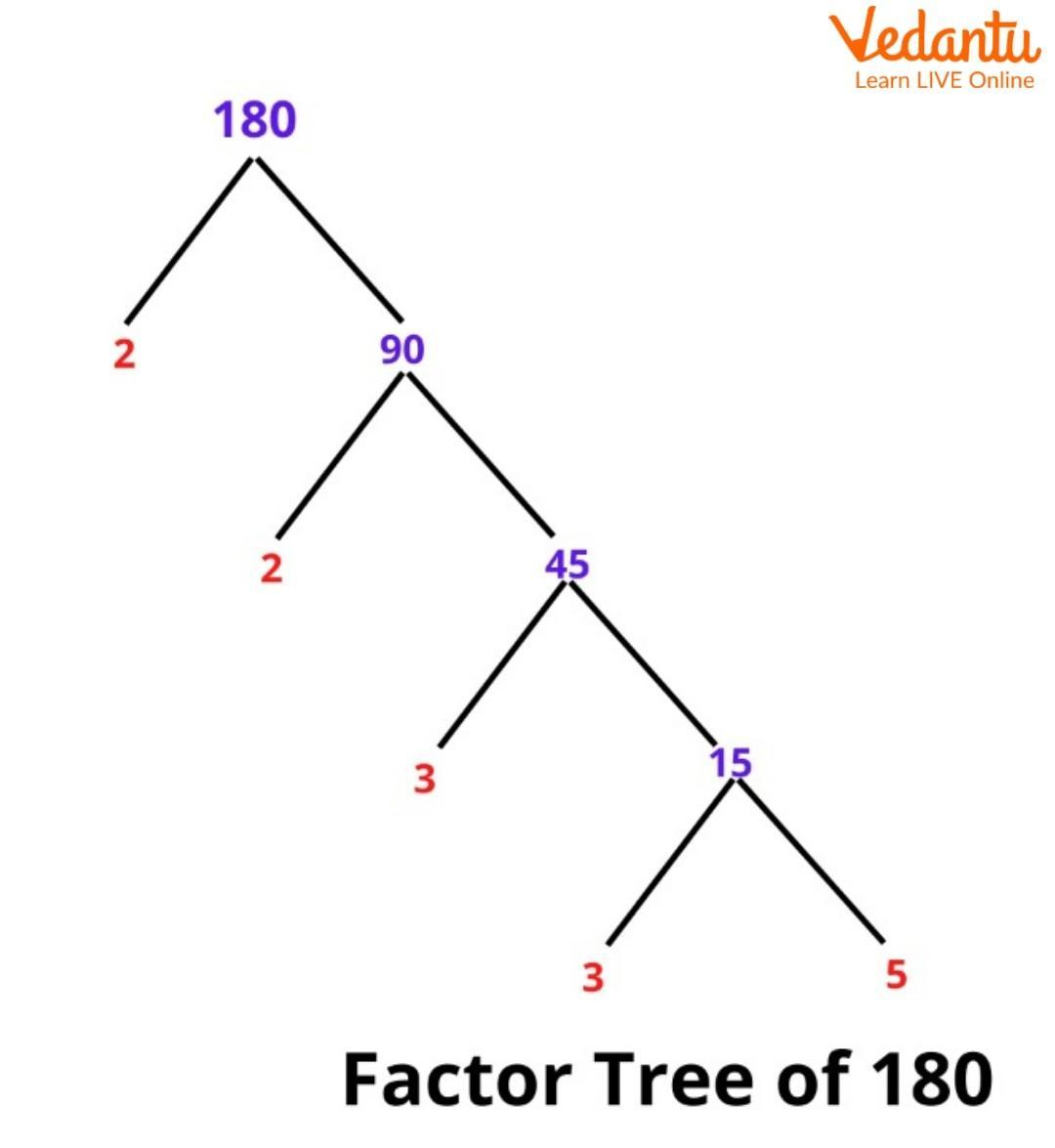 Factor Tree of 180