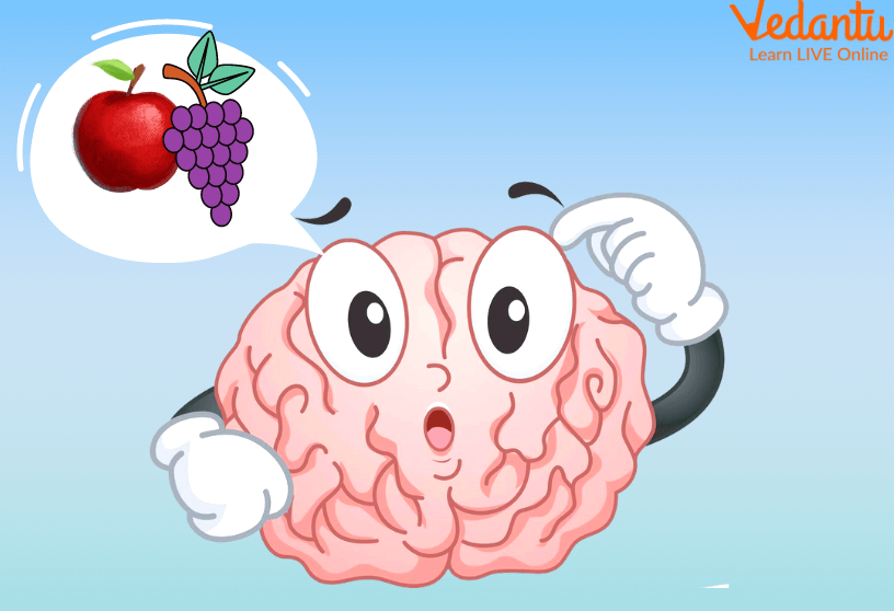 Brain thinking of food