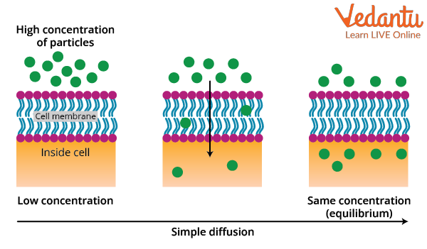 Simple Diffusion