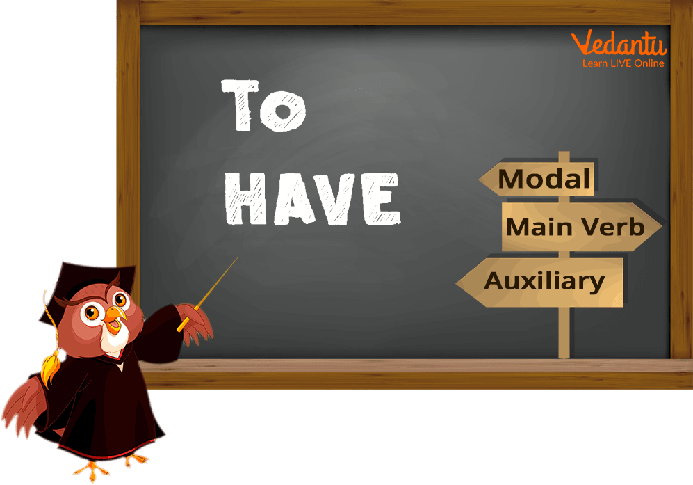 To have’ verbs modal, main or auxiliary verb