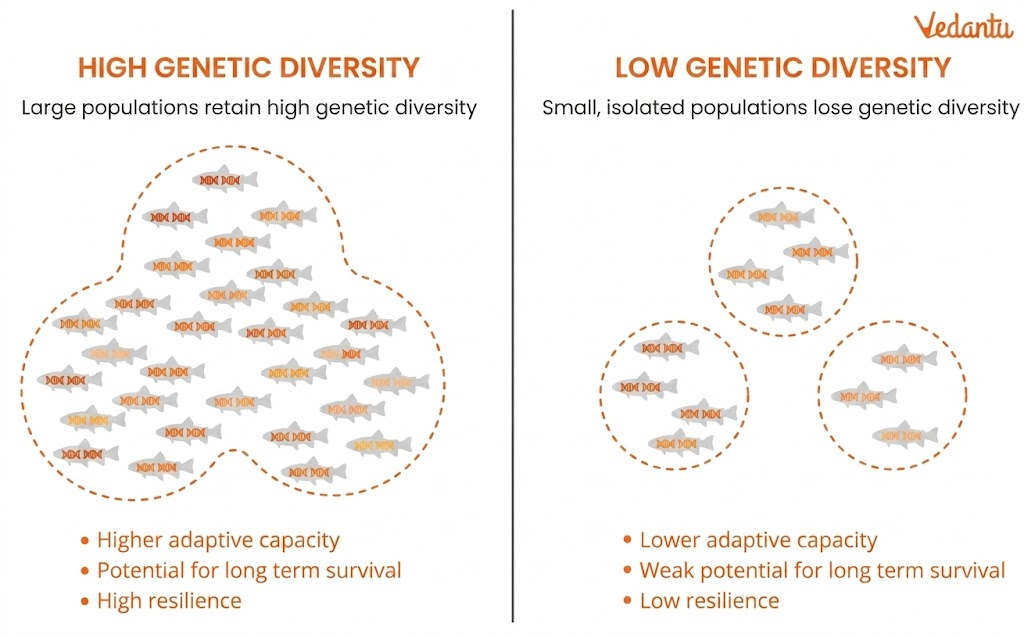 Genetic Diversity - High and Low