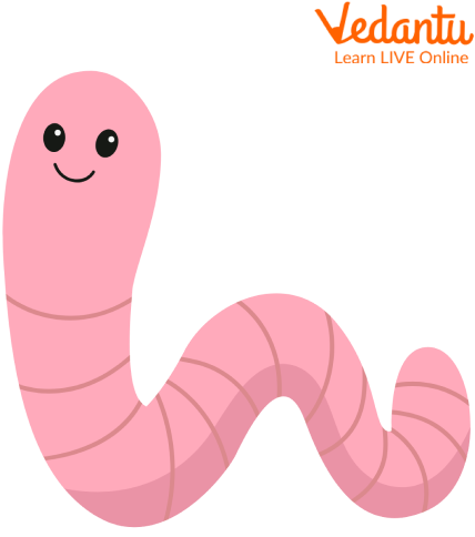 A Worm