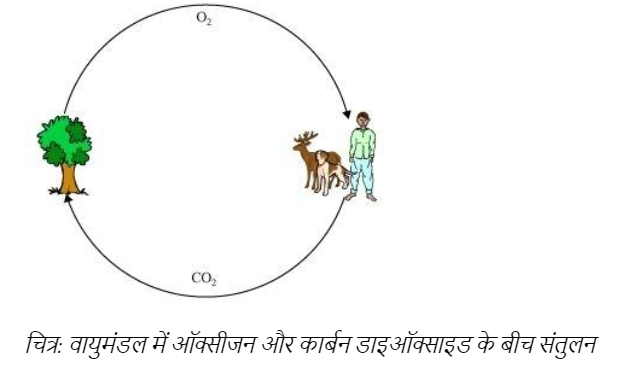 वायुमंडल में ऑक्सीजन और कार्बन डाइऑक्साइड के बीच संतुलन