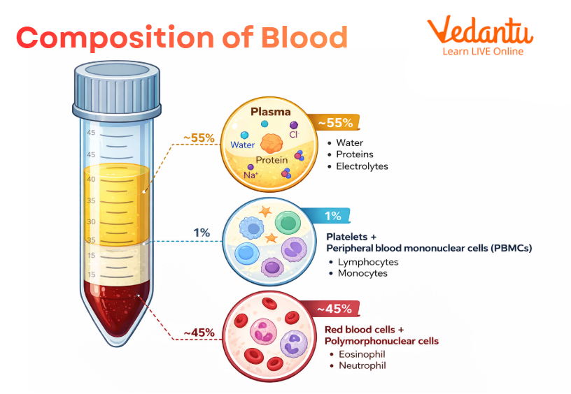 Composition of Blood