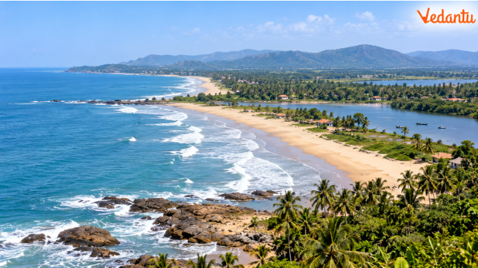 The contrasting landforms of the two coastal plains reflect differences in geological processes, river deposition and the relationship between land and sea.