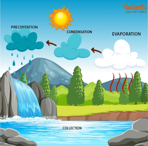 Water cycle