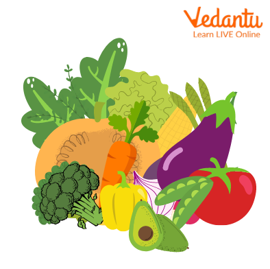Different kinds of Vegetables